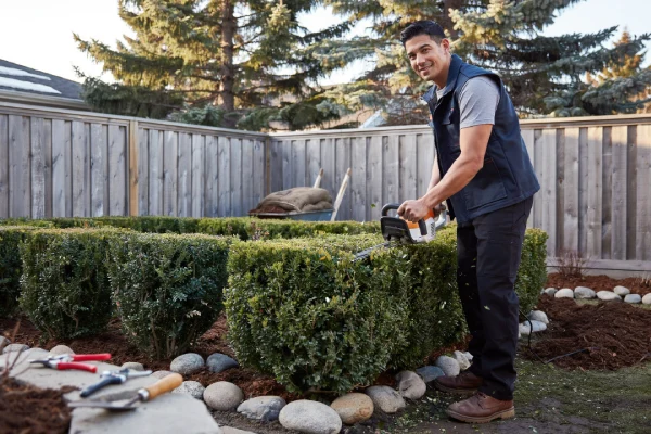 Professional Landscape Maintenance Professional Landscape Maintenance